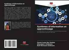 Systèmes d'information et apprentissage kitap kapağı