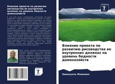 Buchcover von Влияние проекта по развитию рисоводства во внутренних долинах на уровень бедности домохозяйств