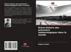 Portada del libro de Brève histoire des prévisions météorologiques dans le monde
