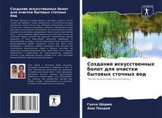 Buchcover von Создание искусственных болот для очистки бытовых сточных вод