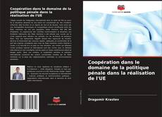 Capa do livro de Coopération dans le domaine de la politique pénale dans la réalisation de l'UE 