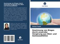 Capa do livro de Gewinnung von Biogas durch anaerobe Vergärung aus Obst- und Gemüseabfällen 