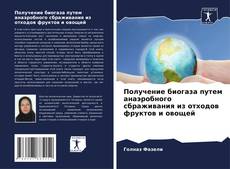 Buchcover von Получение биогаза путем анаэробного сбраживания из отходов фруктов и овощей