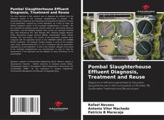 Couverture de Pombal Slaughterhouse Effluent Diagnosis, Treatment and Reuse