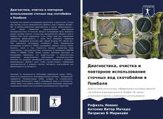 Buchcover von Диагностика, очистка и повторное использование сточных вод скотобойни в Помбале