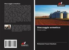 Buchcover von Stoccaggio ermetico: