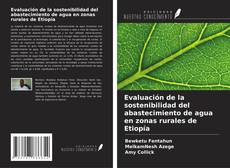 Couverture de Evaluación de la sostenibilidad del abastecimiento de agua en zonas rurales de Etiopía