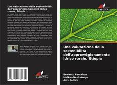 Buchcover von Una valutazione della sostenibilità dell'approvvigionamento idrico rurale, Etiopia