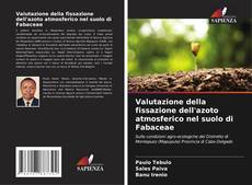 Buchcover von Valutazione della fissazione dell'azoto atmosferico nel suolo di Fabaceae