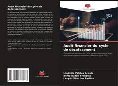 Audit financier du cycle de décaissement kitap kapağı