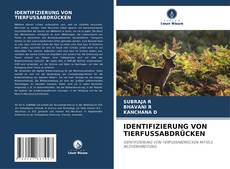 Capa do livro de IDENTIFIZIERUNG VON TIERFUSSABDRÜCKEN 