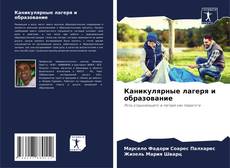 Buchcover von Каникулярные лагеря и образование