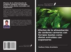 Couverture de Efectos de la alimentación de corderos carneros con forrajes bastos como dietas extruidas con expansores