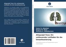 Capa do livro de Attapulgit-Tone: Ein umfassender Leitfaden für die Umweltsanierung 