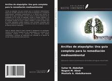 Couverture de Arcillas de atapulgita: Una guía completa para la remediación medioambiental