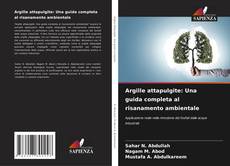 Buchcover von Argille attapulgite: Una guida completa al risanamento ambientale