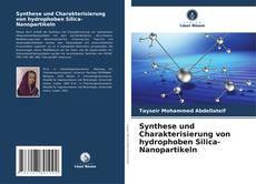 Capa do livro de Synthese und Charakterisierung von hydrophoben Silica-Nanopartikeln 