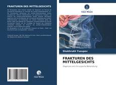 Capa do livro de FRAKTUREN DES MITTELGESICHTS 