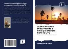 Buchcover von Экологическое образование в муниципалитете Пальмас/ТО