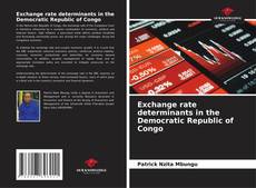 Bookcover of Exchange rate determinants in the Democratic Republic of Congo