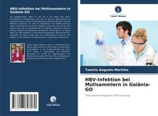 Capa do livro de HBV-Infektion bei Müllsammlern in Goiânia-GO 