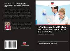 Buchcover von Infection par le VHB chez les ramasseurs d'ordures à Goiânia-GO