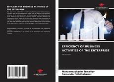 Bookcover of EFFICIENCY OF BUSINESS ACTIVITIES OF THE ENTERPRISE