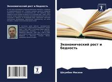 Экономический рост и бедность kitap kapağı