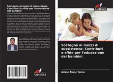 Buchcover von Sostegno ai mezzi di sussistenza: Contributi e sfide per l'educazione dei bambini