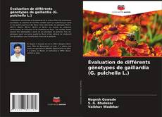 Обложка Évaluation de différents génotypes de gaillardia (G. pulchella L.)