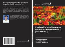 Couverture de Evaluación de diferentes genotipos de gaillardia (G. pulchella L.)