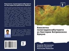 Buchcover von Биосинтез полигидроксибутирата из бактерии Ботриококка Брауна