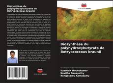Обложка Biosynthèse du polyhydroxybutyrate de Botryococcous braunii
