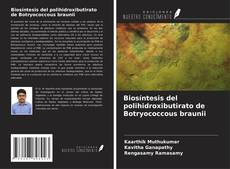 Couverture de Biosíntesis del polihidroxibutirato de Botryococcous braunii