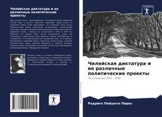 Buchcover von Чилийская диктатура и ее различные политические проекты