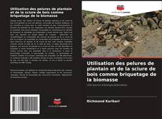 Capa do livro de Utilisation des pelures de plantain et de la sciure de bois comme briquetage de la biomasse 