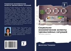 Buchcover von Социально-экономические аспекты чрезвычайных ситуаций