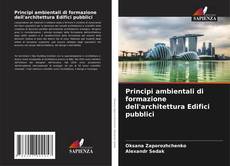 Borítókép a  Principi ambientali di formazione dell'architettura Edifici pubblici - hoz