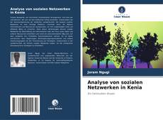 Buchcover von Analyse von sozialen Netzwerken in Kenia