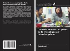 Portada del libro de Uniendo mundos: el poder de la investigación interdisciplinar