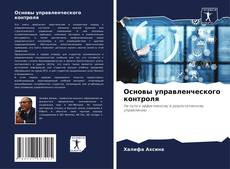 Основы управленческого контроля kitap kapağı