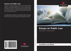 Buchcover von Essays on Public Law