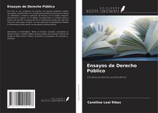 Couverture de Ensayos de Derecho Público