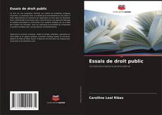 Essais de droit public kitap kapağı