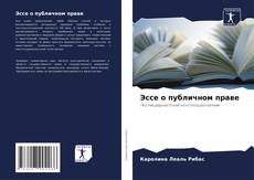 Эссе о публичном праве kitap kapağı