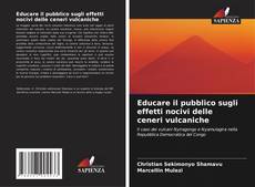 Buchcover von Educare il pubblico sugli effetti nocivi delle ceneri vulcaniche