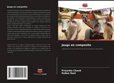 Capa do livro de Jougs en composite 