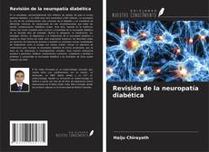 Couverture de Revisión de la neuropatía diabética