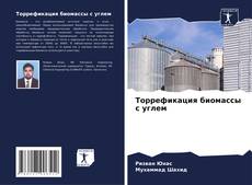 Торрефикация биомассы с углем kitap kapağı