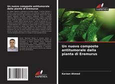 Buchcover von Un nuovo composto antitumorale dalla pianta di Eremurus